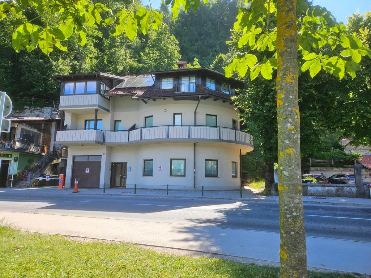 布莱德Apartma Panorama公寓 外观 照片